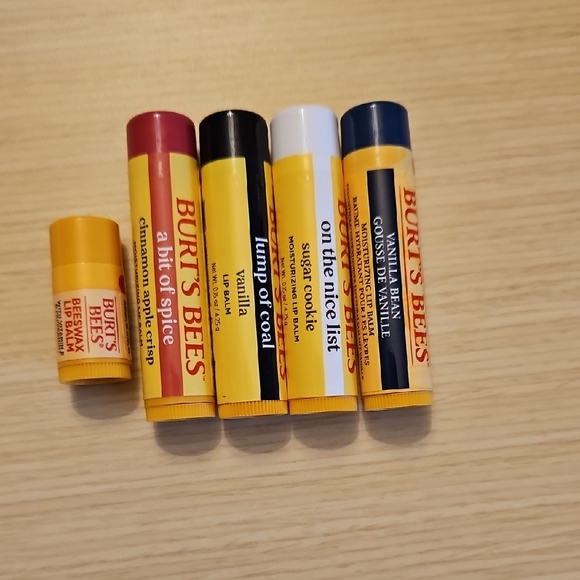 Burt's Bees Other - Burt's Bees Festive Lip Balm Collection Bundle